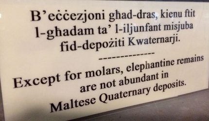 Għar Dalam Cave & Museum Elephantine molars sign
